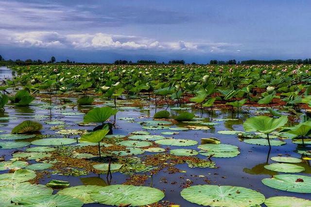 تالاب‌های آق‌گل و چم‌شور خشک هستند| فروچاله جدیدی در همدان ایجاد نشده است