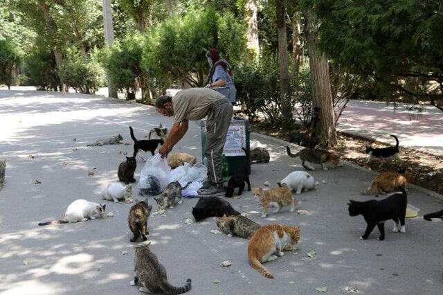 خیانت به محیط زیست با ژست حمایت از حیوانات