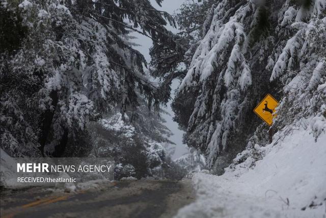 ۵ گردشگر در کولاک برف شیلی کشته شدند