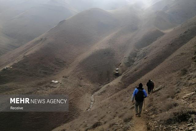 اهالی الیت پای جنگل ایستادند