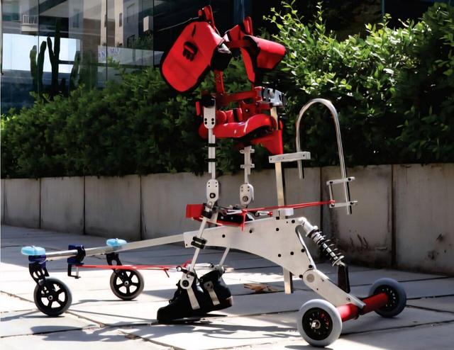 استقبال کشورهای منطقه از واکر ایرانی