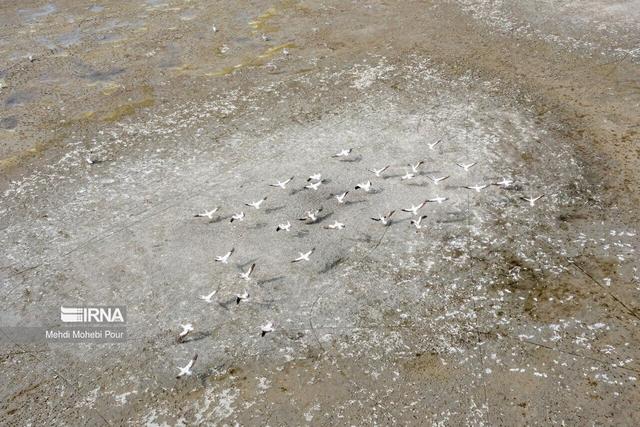 آبی برای فرود نیست