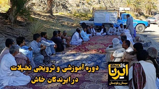 فیلم| آموزش میدانی مقابله با آفات نخیلات در ایرندگان خاش