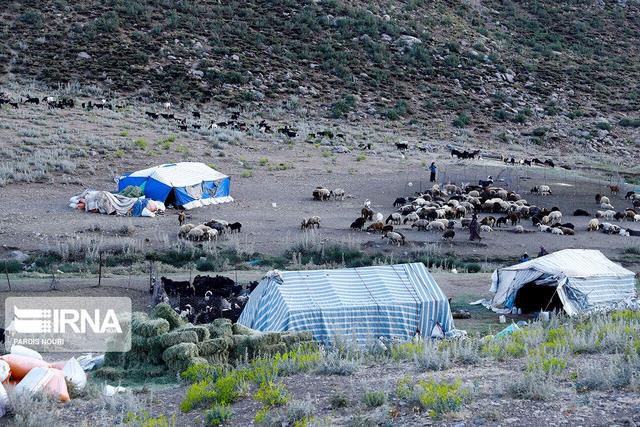 پرداخت تسهیلات ۱۲۰ میلیارد ریالی برای خرید نهاده دامی به عشایر قزوین