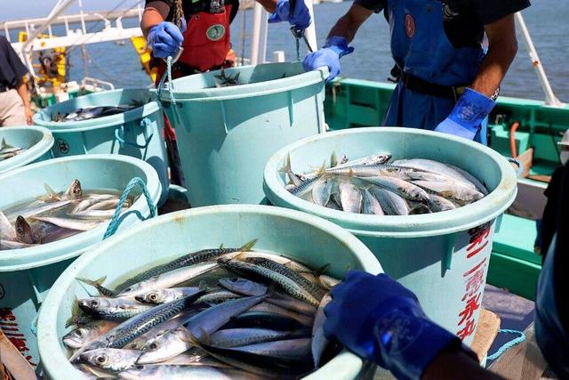 تنش در روابط پکن-توکیو؛ چین واردات مواد غذایی از ژاپن را متوقف می‌کند