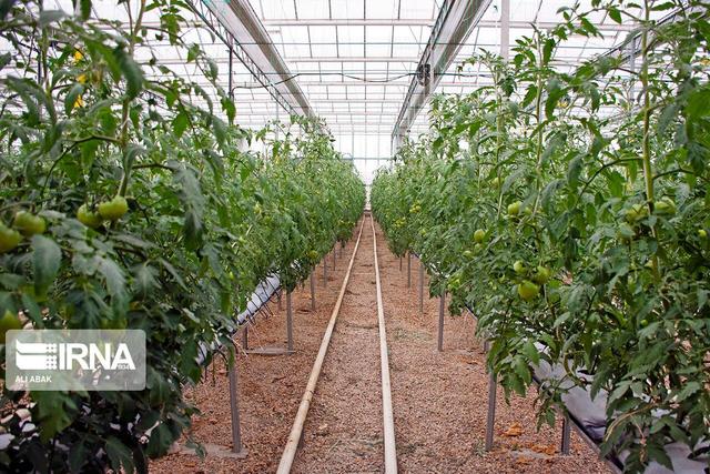 ایجاد خوشه‌های پیشران اقتصادی در هشت شهرستان سمنان