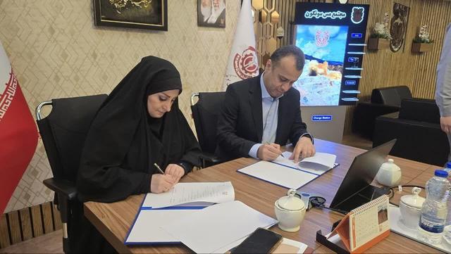 سهم ۱۴ درصدی آذربایجان شرقی از فروش محصولات دانش بنیان کشور