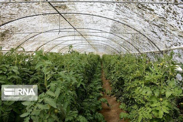 تشریح برنامه‌های هفته بسیج مازندران با محوریت افتتاح ۵۰۰ طرح محرومیت زدایی