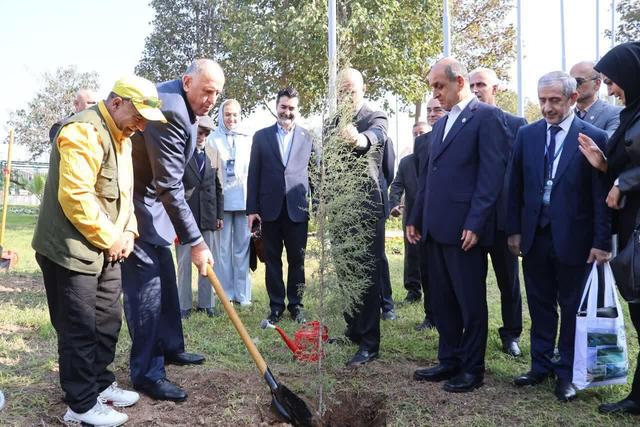 استانداران خزر درخت صلح کاشتند