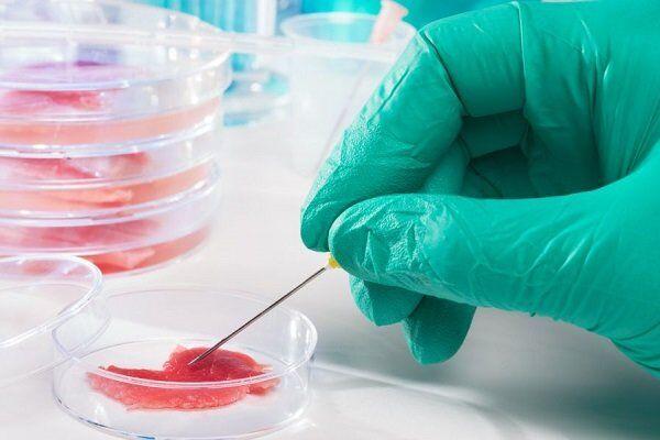 کنفرانس بین‌المللی مهندسی زیست‌پزشکی ایران در دانشگاه صنعتی تبریز آغاز شد