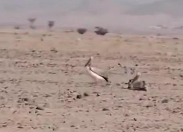 ببینید: دریاچه ارومیه تبدیل به کویر شده