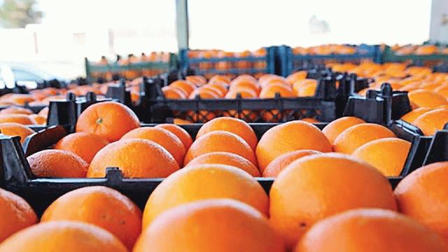 توقف خرید پرتقالهای ایران توسط روسیه و ازبکستان