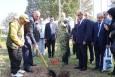 استانداران خزر درخت صلح کاشتند