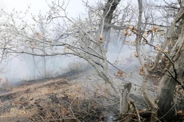 جزئیات تازه از عملیات مهار حریق در منطقه صعب‌العبور چالوس