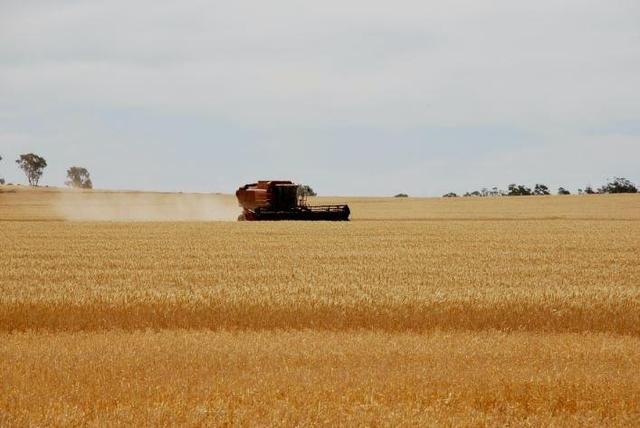 خشکسالی فصل کاشت را در ترکیه به تعویق انداخت