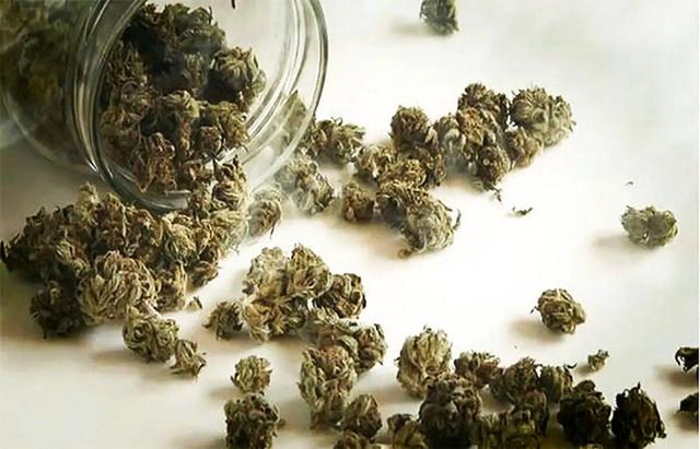 نشانههای ظاهری و روانی مصرف گل چیست؟