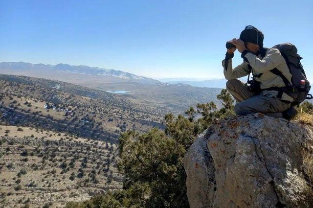 محمدی:سرشماری پاییزه حیات‌وحش در منطقه مهران آغاز شد