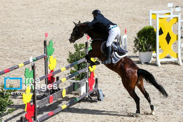 استعدادیابی پاراسوارکاران آینده در شیراز؛ پلی به سوی المپیک ۲۰۲۸