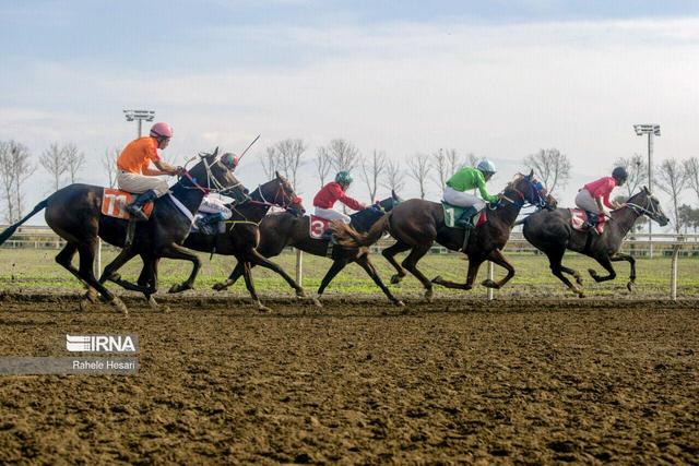 ادامه مسابقات هفته دوم اسبدوانی گنبدکاووس در روز دوم