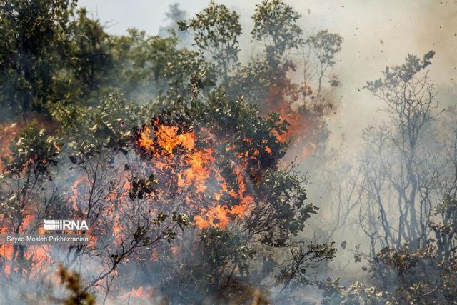 استاندار مازندران: هواپیما ایلوشن و ۶ بالگرد برای مهار آتش‌سوزی جنگل الیت آماده شد