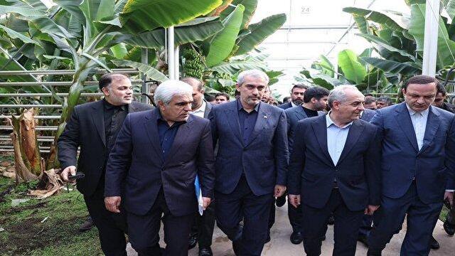 بازدید وزیر اقتصاد از بزرگترین گلخانه هیدروپونیک خاورمیانه