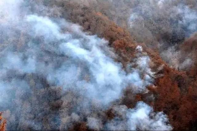 رایزنی بین‌المللی برای خاموش کردن آتش‌سوزی جنگل‌های چالوس