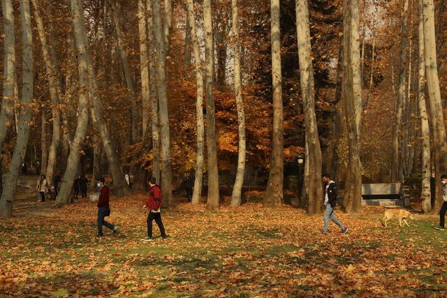 هشدار نارنجی آلودگی هوا برای ۶ شهر | دمای میانگین کشور ۲.۳ درجه گرم تر شده‌است