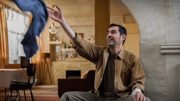 پتک کلید خورد | احتمال حضور شهاب حسینی در جشنواره فجر به عنوان تهیه کننده