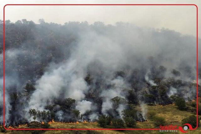 رئیس سازمان آبخیزداری: حریق در قلب جنگل هیرکانی نیست