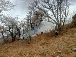 اعزام ۱۷ تیم امدادی و ۶۴ نیروی عملیاتی برای مهار آتش‌سوزی جنگل‌های الیت چالوس