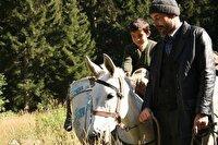 فیلم‌های دنباله دار شبکه نمایش