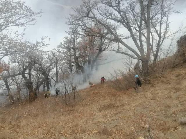 ادامه عملیات مهار آتش‌سوزی گسترده در جنگل‌های الیت چالوس/ اعزام ۱۷ تیم امدادی و ۶۴ نیروی عملیاتی