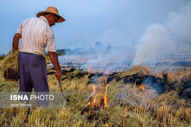 آتش زدن مزارع برنج، عامل نخست آلودگی اخیر هوای خوزستان/ تاکید به نیشکر و نفت برای کنترل آلایندگی