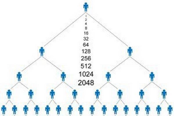 پشت‌صحنه تازه کلاهبرداری‌های هرمی؛ وقتی سودهای خیالی دارایی‌های واقعی را می‌بلعند