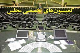 کدام وزرا در هفته جاری به کمیسیون‌های تخصصی مجلس می‌روند؟