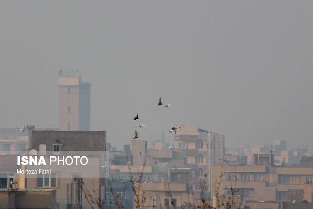 در آلودگی هوا چه بخوریم و چه نخوریم