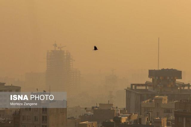 آلودگی، سهم ما از این شهر