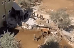 گاو دزدی سربازان رژیم صهیونیستی