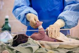 شارژ کارت امید مادر تا ۲ سالگی نوزاد ماهانه به مبلغ ۲۰ میلیون ریال