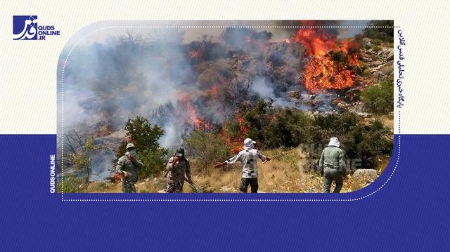 آخرین جزئیات حریق در جنگل‌های هیرکانی