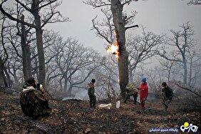 الیت سوخت و خاکستر شد!