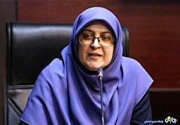 مهاجرانی: تغییری در قیمت بنزین سهمیه‌ای ایجاد نمی‌شود