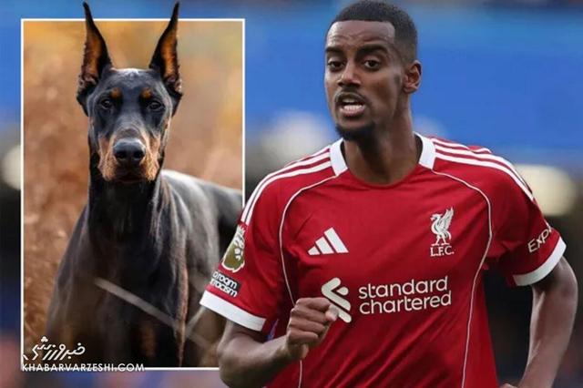 ستاره قرمزها تهدید به مرگ شد؛ خرید سگ نگهبان برای حفاظت از خانواده