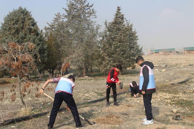 طرح ملی کاشت یک میلیارد درخت اصلاح شد