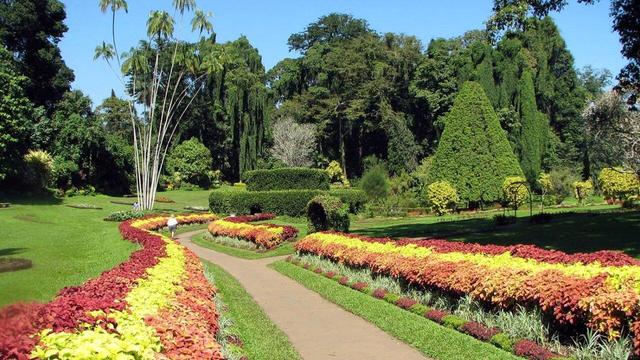خزان باغ گیاهشناسی ایران با بلندمرتبه سازی جوار آن