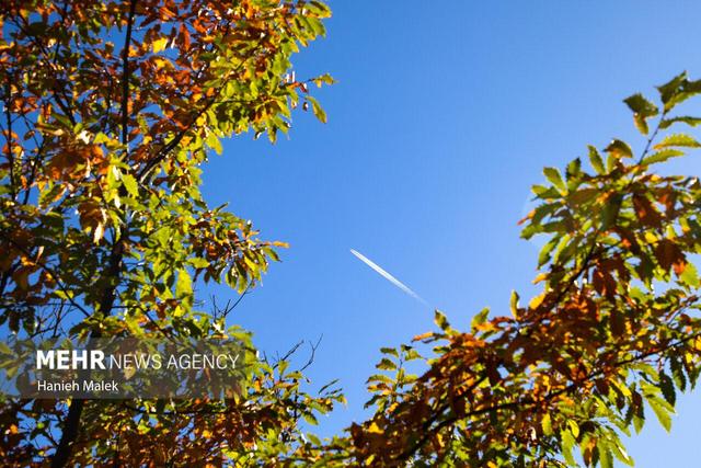 جنگل پاییزی توسکستان گرگان