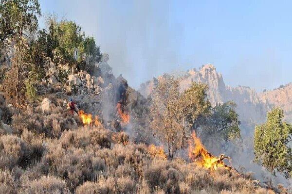 ۲ پهباد حرارتی برای شناسایی کانون‌های حریق در الیت اعزام شدند