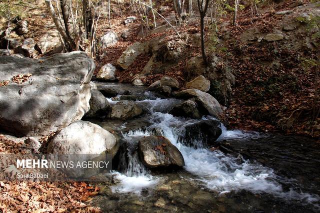 پاییز سراب صحنه؛ نمایشی باشکوه از هزار رنگ طبیعت