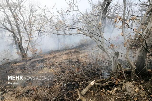 یونسی: حریق ۲ جبهه در جنگلهای الیت مهار شده است