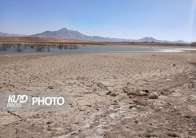 حجم ذخایر سدهای کردستان نسبت به سال گذشته ۲۵ درصد کاهش یافت